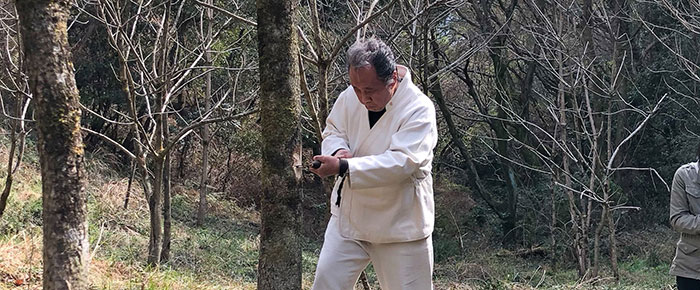 辰山植林　漆掻き